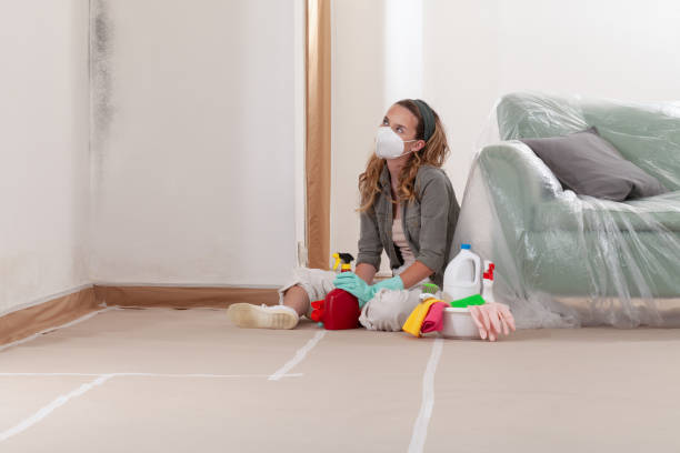 Reliable Basement Mold Remediation contractor in East Berlin, PA by WQB Mold Removal